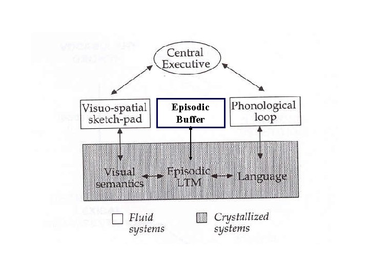 Episodic Buffer 