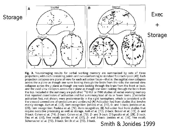 Storage Exec + Storage Smith & Jonides 1999 