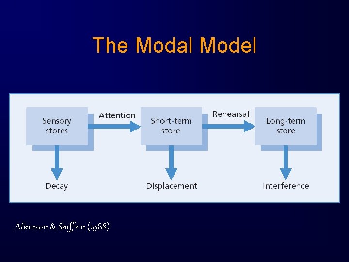 The Modal Model Atkinson & Shiffrin (1968) 