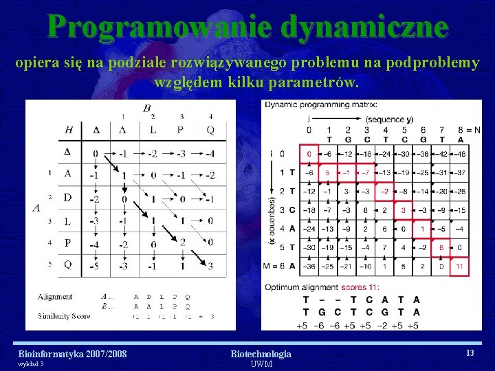Programowanie dynamiczne opiera się na podziale rozwiązywanego problemu na podproblemy względem kilku parametrów. Bioinformatyka