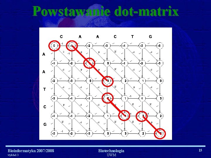 Powstawanie dot-matrix Bioinformatyka 2007/2008 wykład 3 Biotechnologia UWM 15 