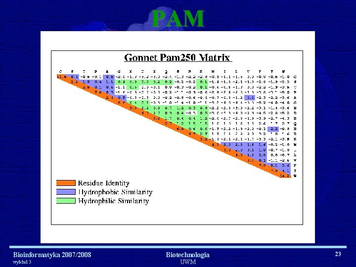 PAM Bioinformatyka 2007/2008 wykład 3 Biotechnologia UWM 23 