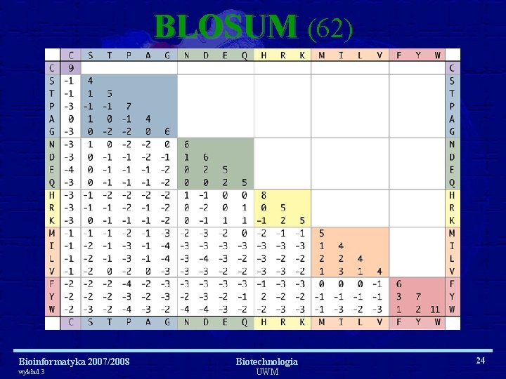 BLOSUM (62) Bioinformatyka 2007/2008 wykład 3 Biotechnologia UWM 24 