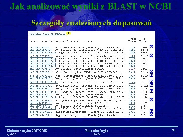 Jak analizować wyniki z BLAST w NCBI Szczegóły znalezionych dopasowań Bioinformatyka 2007/2008 wykład 3