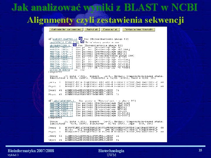 Jak analizować wyniki z BLAST w NCBI Alignmenty czyli zestawienia sekwencji Bioinformatyka 2007/2008 wykład