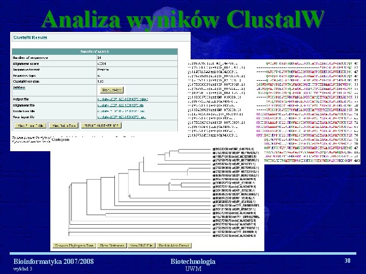 Analiza wyników Clustal. W Bioinformatyka 2007/2008 wykład 3 Biotechnologia UWM 38 