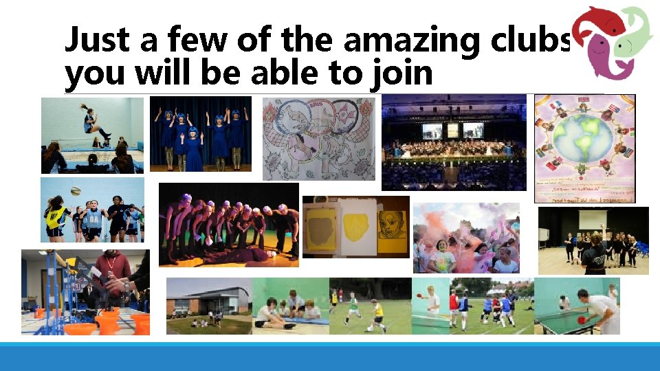 Just a few of the amazing clubs you will be able to join 