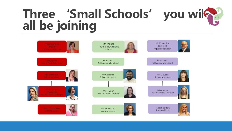 Three ‘Small Schools’ you will all be joining 