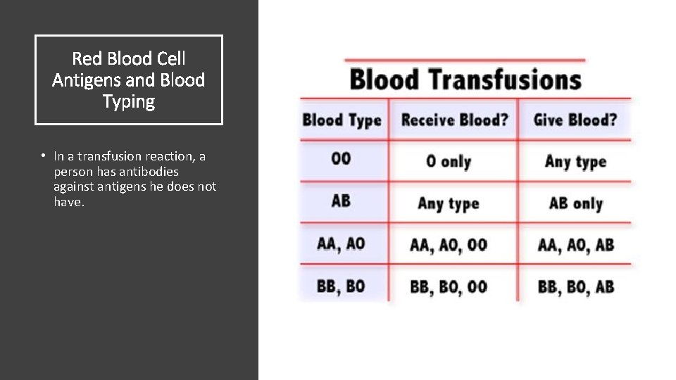 Red Blood Cell Antigens and Blood Typing • In a transfusion reaction, a person