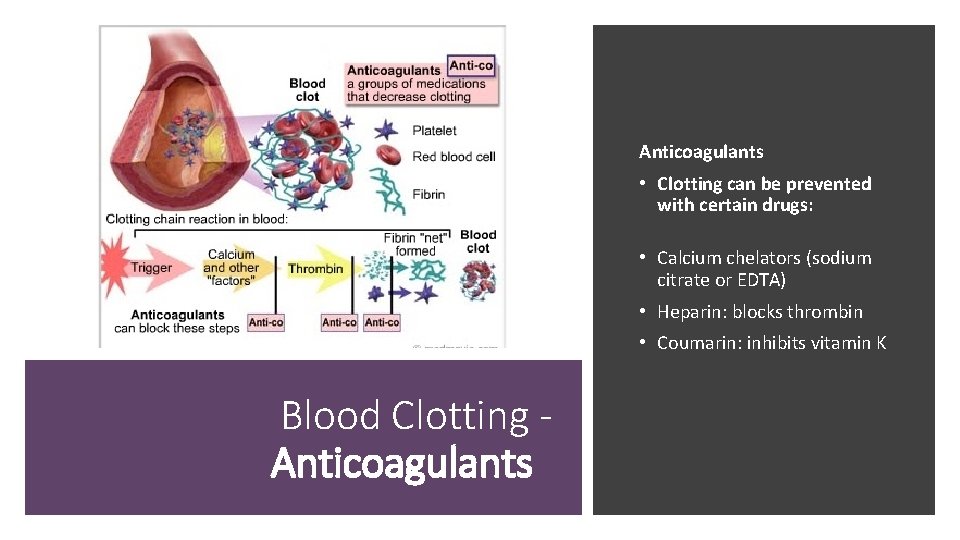 Anticoagulants • Clotting can be prevented with certain drugs: • Calcium chelators (sodium citrate