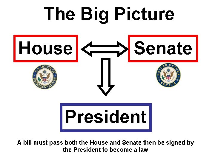 The Big Picture House Senate President A bill must pass both the House and