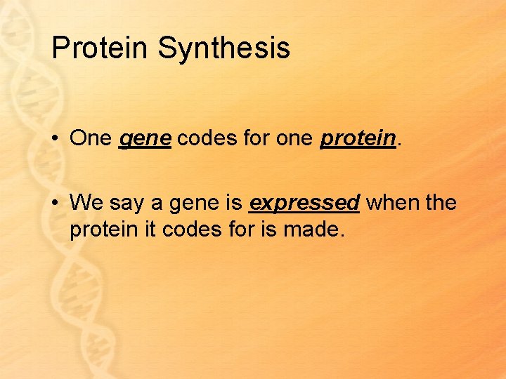 Protein Synthesis • One gene codes for one protein. • We say a gene