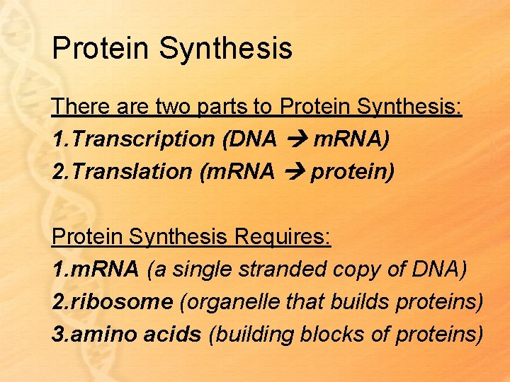 Protein Synthesis There are two parts to Protein Synthesis: 1. Transcription (DNA m. RNA)