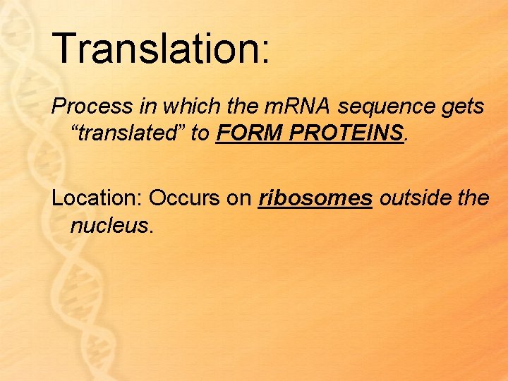 Translation: Process in which the m. RNA sequence gets “translated” to FORM PROTEINS. Location:
