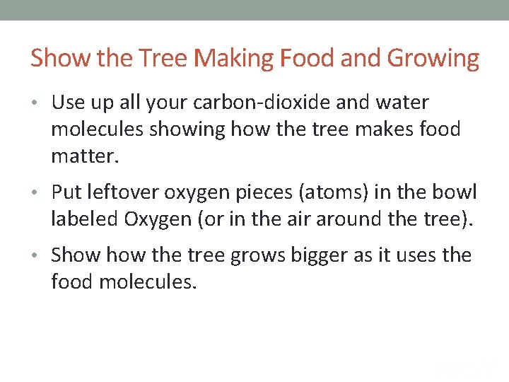 Show the Tree Making Food and Growing • Use up all your carbon-dioxide and
