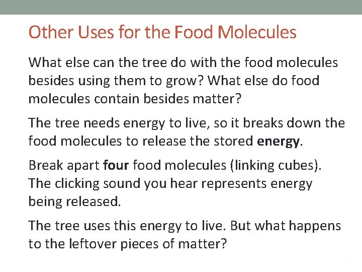 Other Uses for the Food Molecules What else can the tree do with the