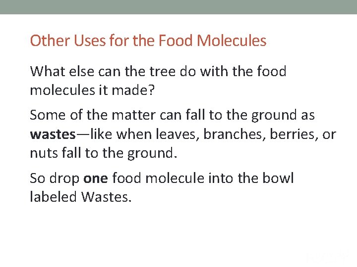 Other Uses for the Food Molecules What else can the tree do with the