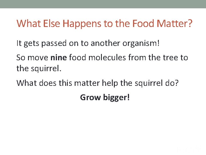 What Else Happens to the Food Matter? It gets passed on to another organism!