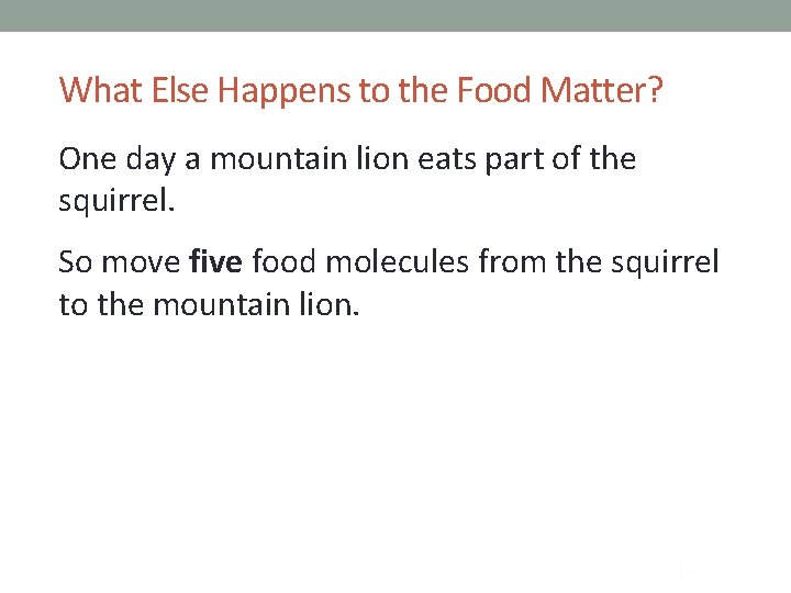 What Else Happens to the Food Matter? One day a mountain lion eats part