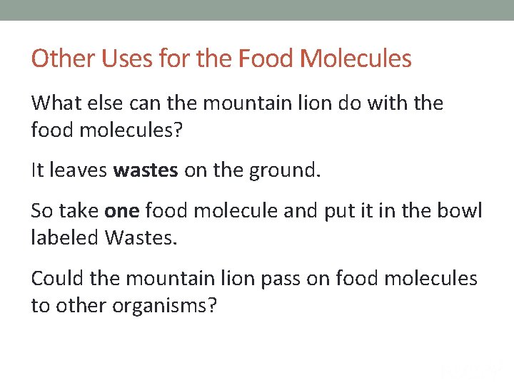Other Uses for the Food Molecules What else can the mountain lion do with
