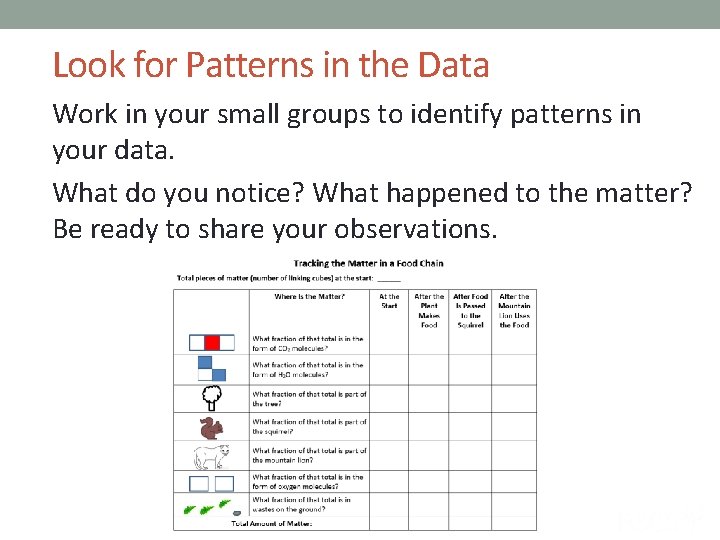 Look for Patterns in the Data Work in your small groups to identify patterns