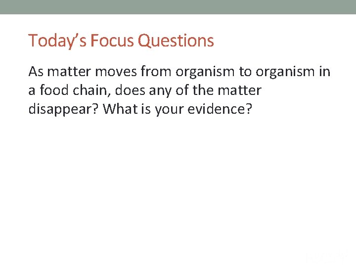 Today’s Focus Questions As matter moves from organism to organism in a food chain,