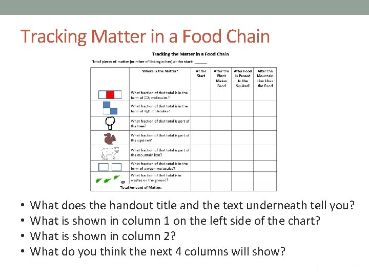 Tracking Matter in a Food Chain • • What does the handout title and