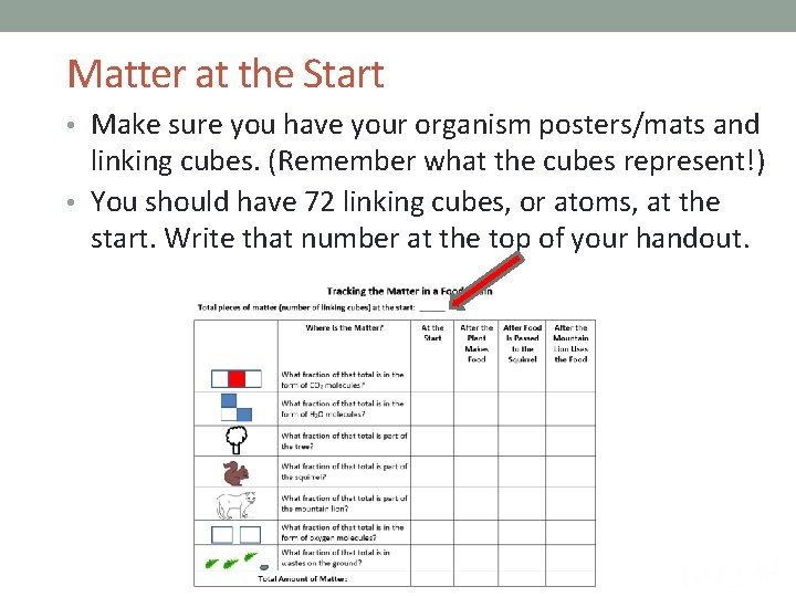 Matter at the Start • Make sure you have your organism posters/mats and linking