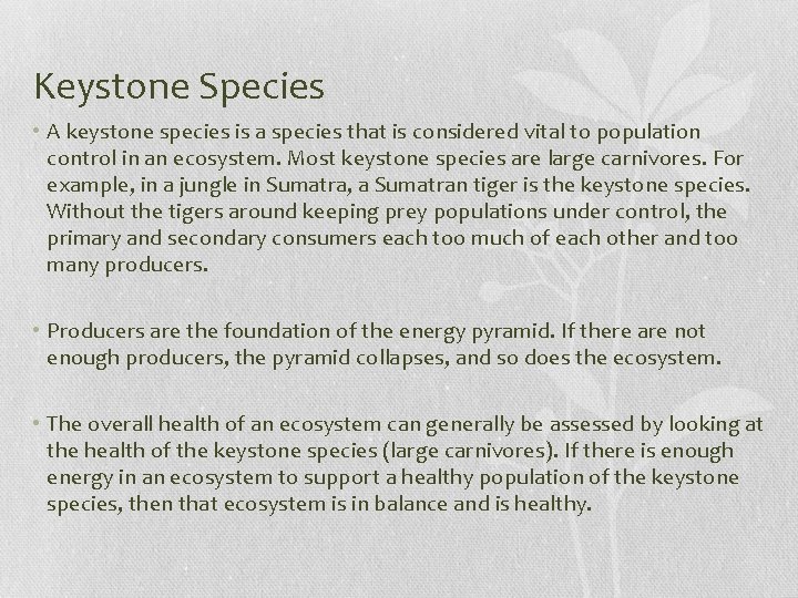 Keystone Species • A keystone species is a species that is considered vital to