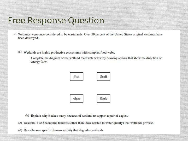 Free Response Question 