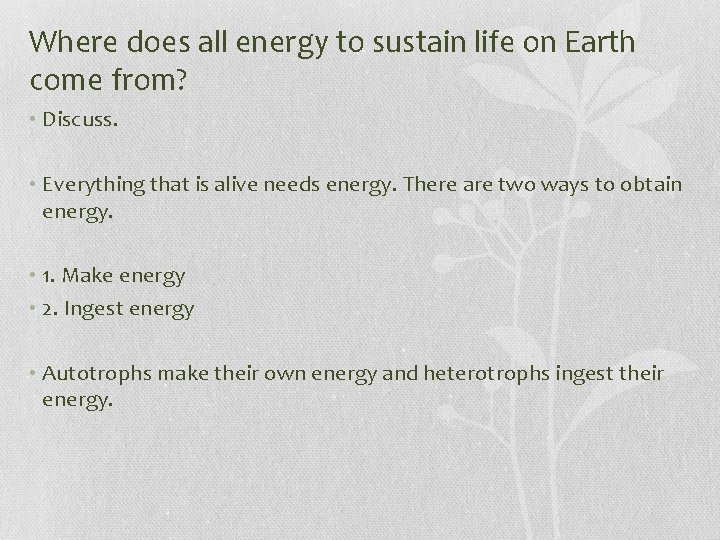 Where does all energy to sustain life on Earth come from? • Discuss. •
