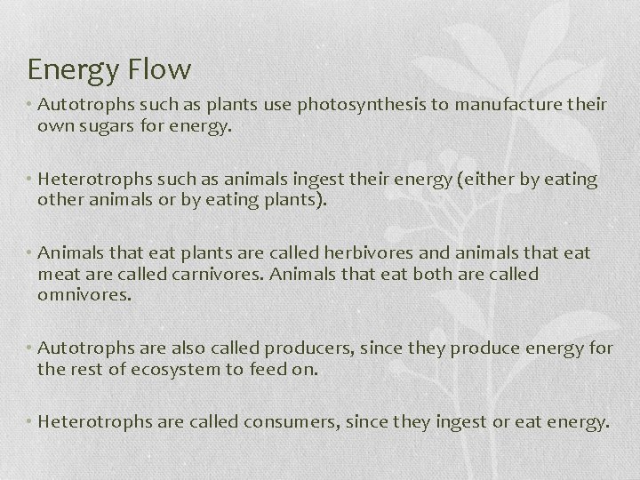 Energy Flow • Autotrophs such as plants use photosynthesis to manufacture their own sugars