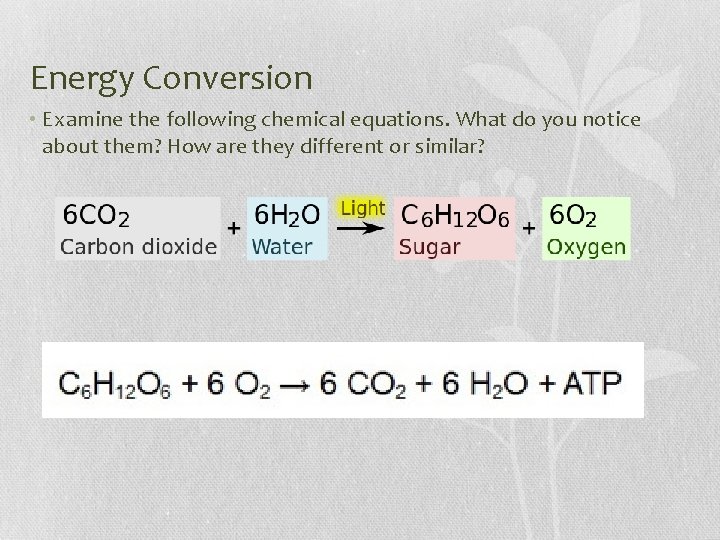 Energy Conversion • Examine the following chemical equations. What do you notice about them?