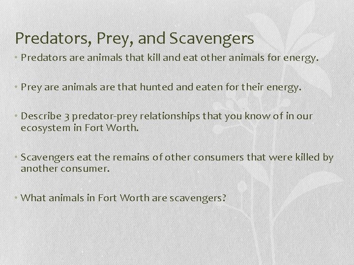 Predators, Prey, and Scavengers • Predators are animals that kill and eat other animals