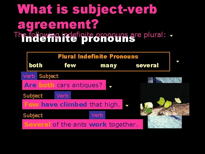 What is subject-verb agreement? Indefinite pronouns The following indefinite pronouns are plural: Plural Indefinite