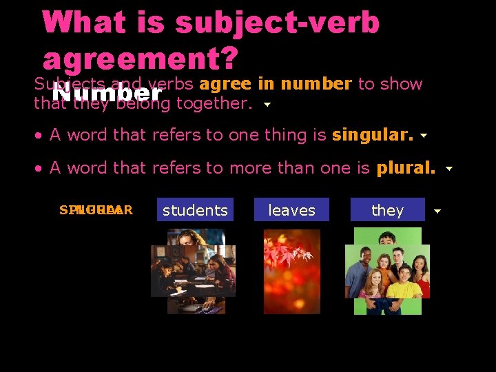 What is subject-verb agreement? Subjects and verbs agree in number to show Number that