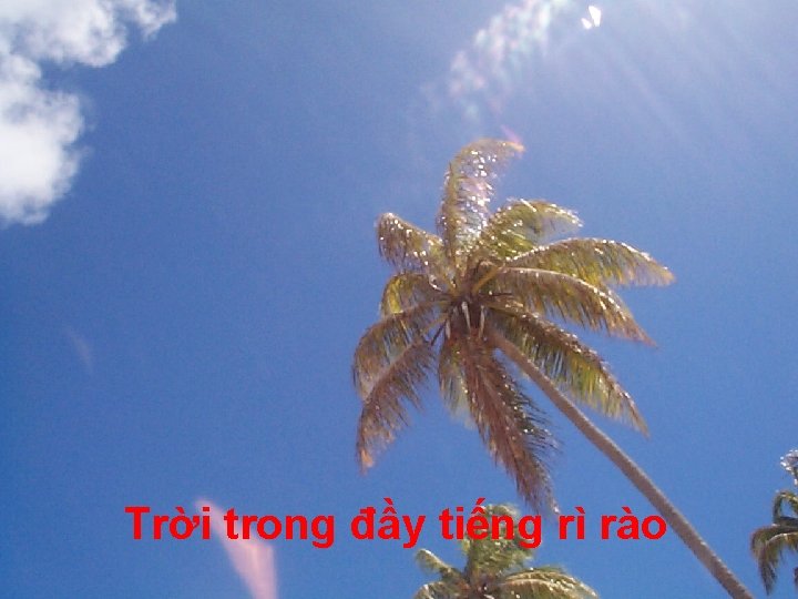 Trời trong đầy tiếng rì rào 