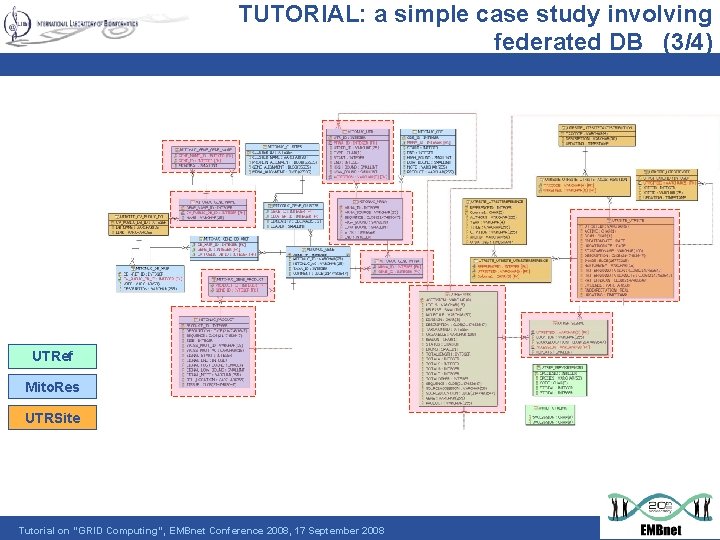TUTORIAL: a simple case study involving federated DB (3/4) UTRef Mito. Res UTRSite Tutorial
