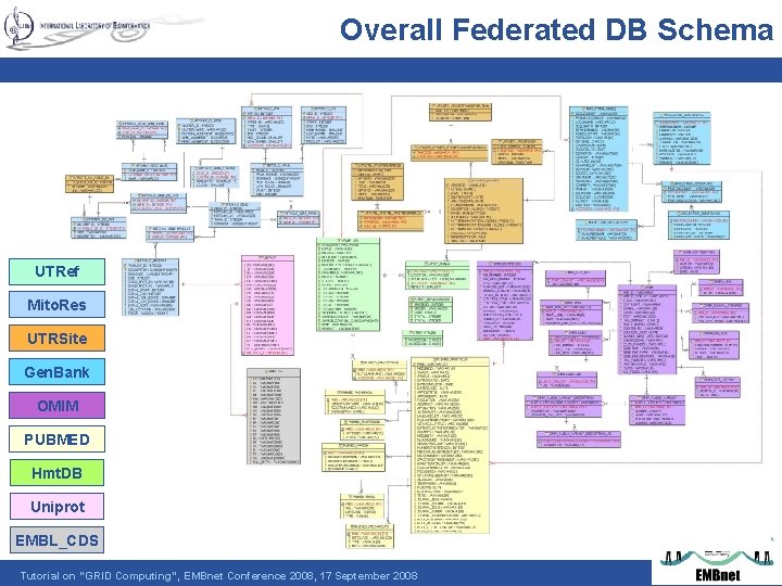Overall Federated DB Schema UTRef Mito. Res UTRSite Gen. Bank OMIM PUBMED Hmt. DB
