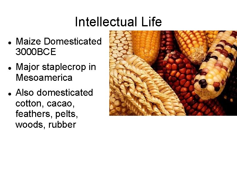 Intellectual Life Maize Domesticated 3000 BCE Major staplecrop in Mesoamerica Also domesticated cotton, cacao,