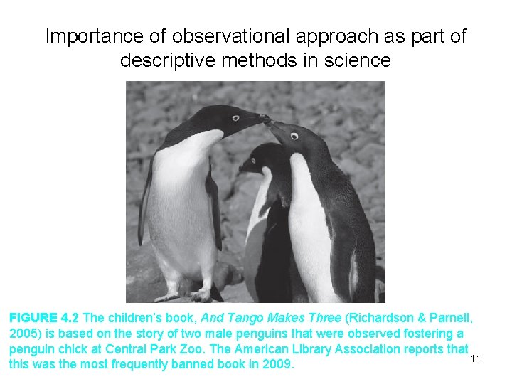 Importance of observational approach as part of descriptive methods in science FIGURE 4. 2