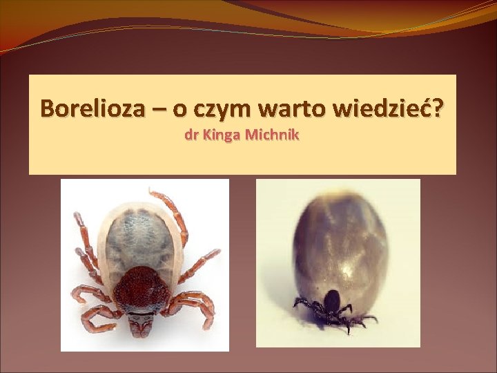 Borelioza – o czym warto wiedzieć? dr Kinga Michnik 