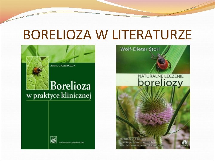 BORELIOZA W LITERATURZE 