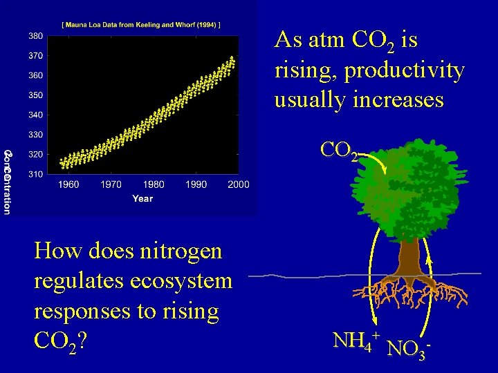 As atm CO 2 is rising, productivity usually increases CO 2 How does nitrogen