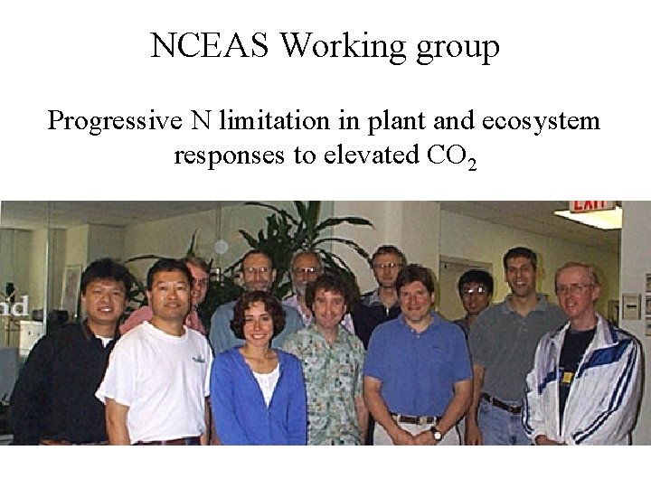 NCEAS Working group Progressive N limitation in plant and ecosystem responses to elevated CO