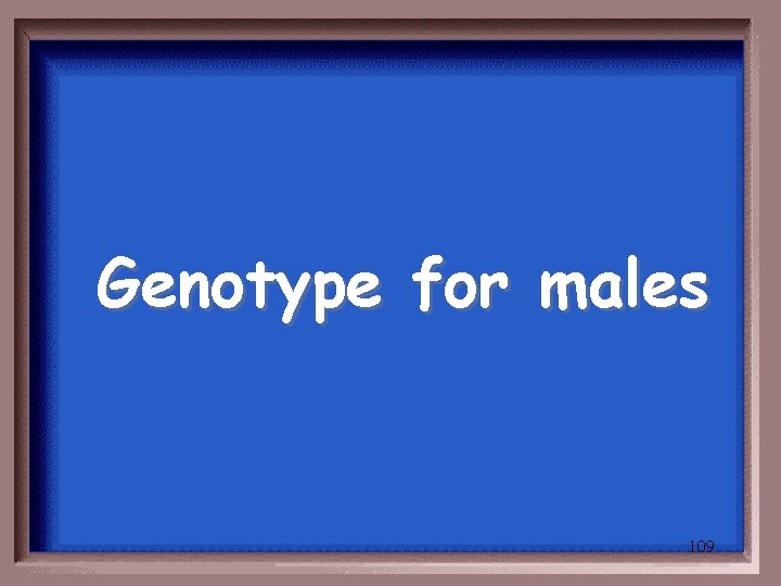 Genotype for males 109 