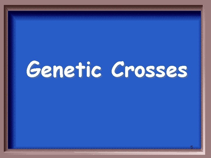 Genetic Crosses 5 