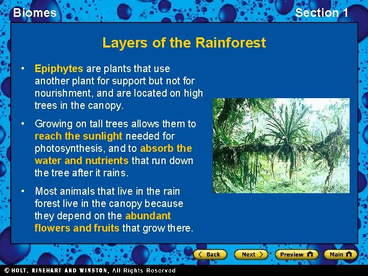 Biomes Section 1 Layers of the Rainforest • Epiphytes are plants that use another