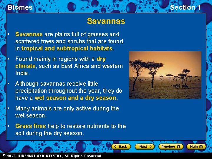 Biomes Section 1 Savannas • Savannas are plains full of grasses and scattered trees