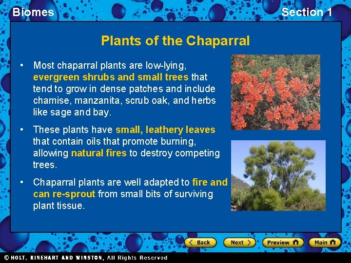 Biomes Section 1 Plants of the Chaparral • Most chaparral plants are low-lying, evergreen